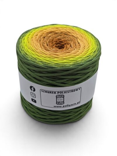 Flat Polyester Ombre Cord 5 mm - 250 m - Matcha/Lime/Amber/Cinnamon